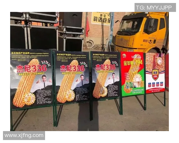 德甲锋将携手品牌，共绘辉煌未来